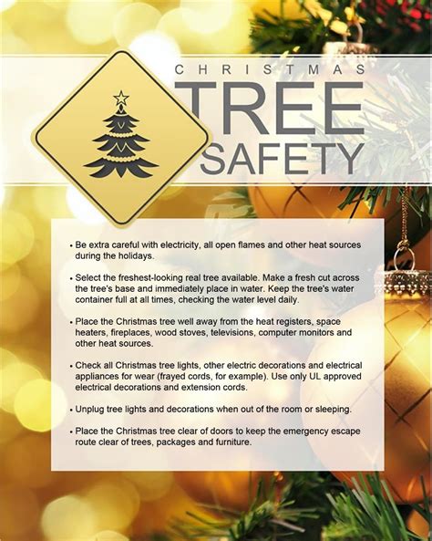 Stay Safe This Holiday Season with 6 Christmas Tree Safety Tips