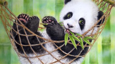 Bamboo Panda Wallpapers - Wallpaper Cave