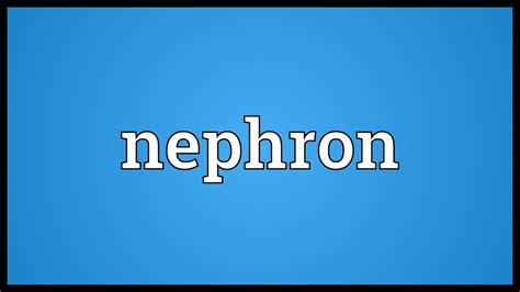 Nephron Meaning - YouTube