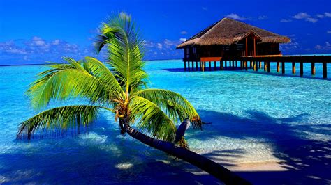 Escape to paradise with these Desktop backgrounds tropical scenery