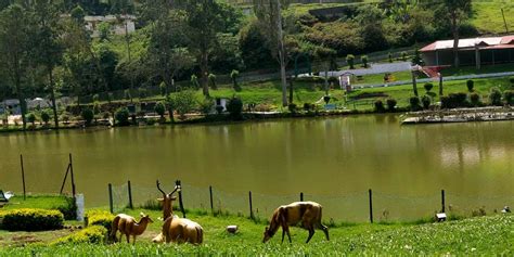 Wellington Lake Coonoor (Entry Fee, Timings, Best time to visit, Images ...