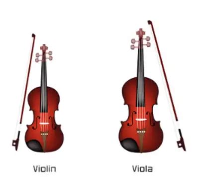 Viola vs Violin: 5 Key Differences Between The Two Instruments