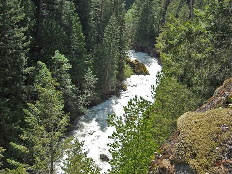 Nooksack River | Washington State Wiki | Fandom