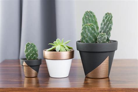 Modern Mini Painted Plant Pots