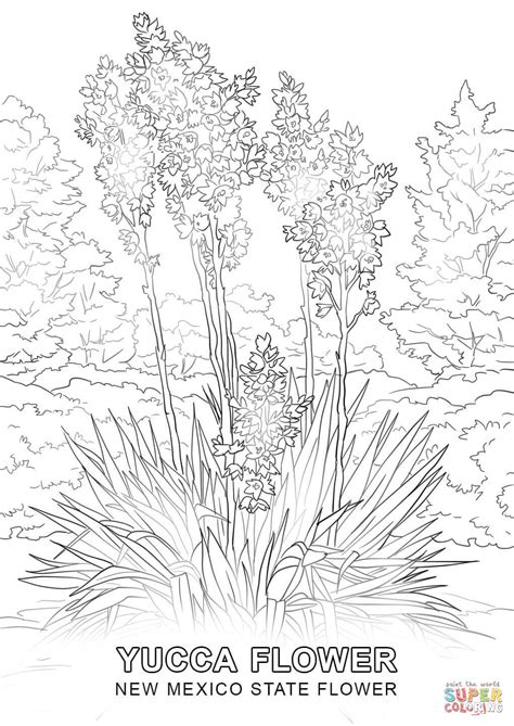 New Mexico State Flower coloring page | Free Printable Coloring Pages