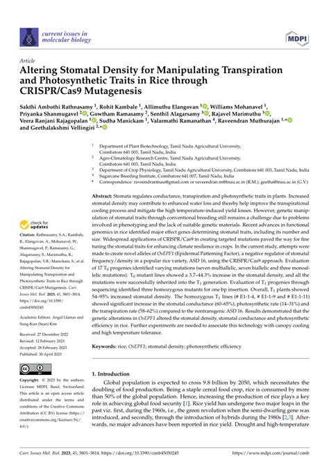 (PDF) Altering Stomatal Density for Manipulating Transpiration and Photosynthetic Traits in Rice ...