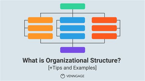 Organizational Structure: What is it, Types, Tips & Examples - Venngage