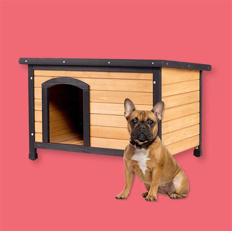 10 Best Insulated Dog Houses 2021 - Winter Dog House Reviews