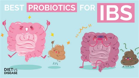 Best Probiotics For Irritable Bowel Syndrome (IBS) Explained | Diet vs Disease