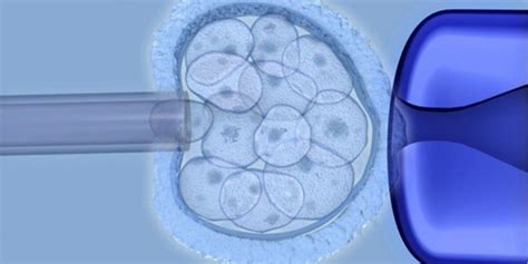 Viewpoint: Debating the debate over the new stem cell research guidelines | Genetic Literacy Project