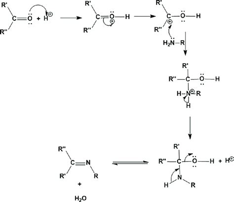 Mechanistic explanation of the formation of Schiff base. | Download Scientific Diagram