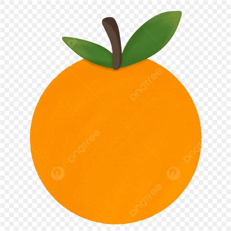 Orange Fruit PNG Transparent, Simple Orange Fruits Png Illustrations, Fruits, Orange Fruits ...