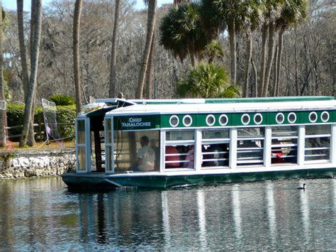 Old Florida: Vintage Silver Springs - Glass bottom boats