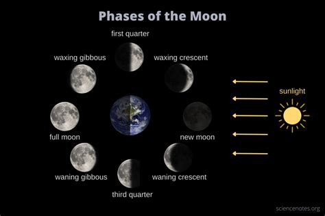 Phases of the Moon - Lunar Phases