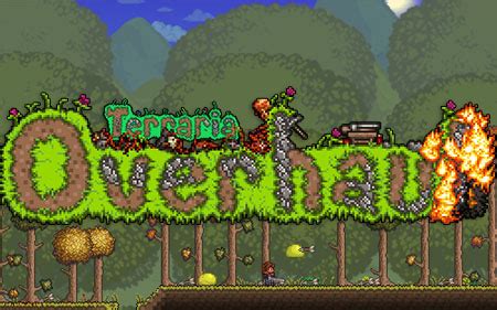 Download Terraria Overhaul 4.4 Mod