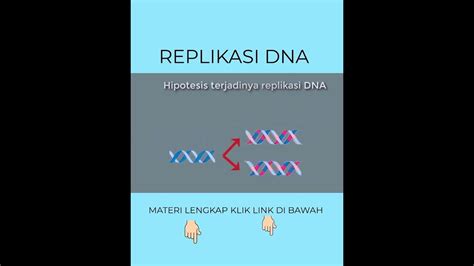 3 HIPOTESIS REPLIKASI DNA KONSERVATIF SEMIKONSERVATIF DISPERSIF #biologi - YouTube