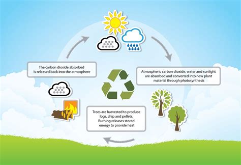 Is Biofuel Renewable? The Ongoing Debate