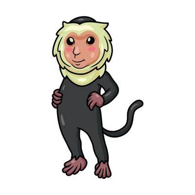 Capuchin Monkey Vector Art, Icons, and Graphics for Free Download