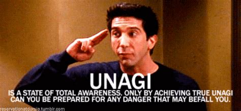 When Ross tried teaching Rachel and Phoebe the art of ~Unagi~. | 26 ...