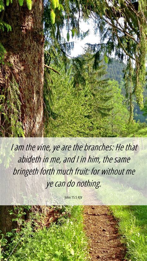 John 15:5 KJV Mobile Phone Wallpaper - I am the vine, ye are the ...