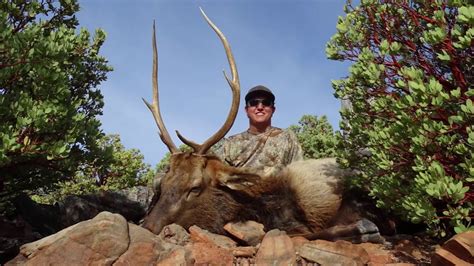 Late Season Arizona Bull Elk: Long December - YouTube