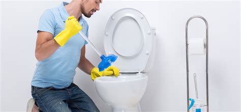 How to Fix a Slow Draining Toilet: A DIY Guide - Happy Hiller