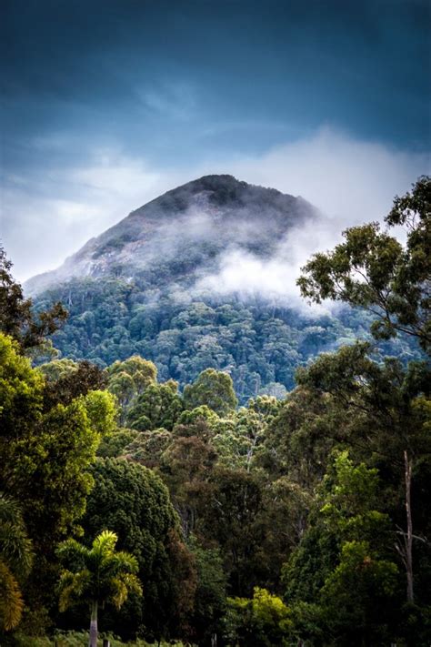 nature, Landscape, Mountains, Photography, Clouds, Portrait display, Mist, Trees, Forest ...