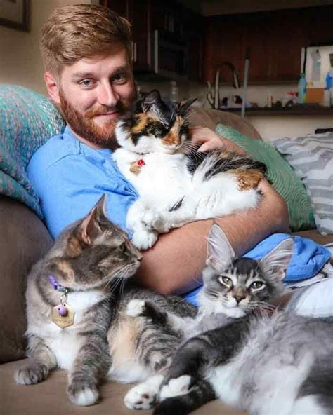 “Dad’s A Heat Radiator So We Love To Snuggle With Him” #cats #kittens #kitty #catdad # ...