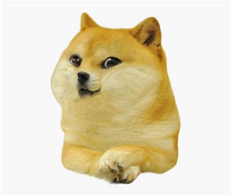 Baby Doge, HD Png Download is free transparent png image. To explore ...