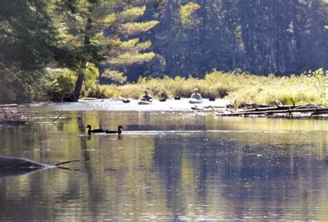 Polliwog Pond to Little Polliwog Pond | Saranac Lake, Adirondacks, New York