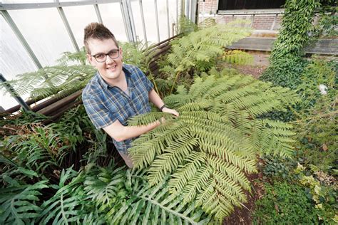 NSF funds Purdue researcher’s study of fundamental signs between plants ...