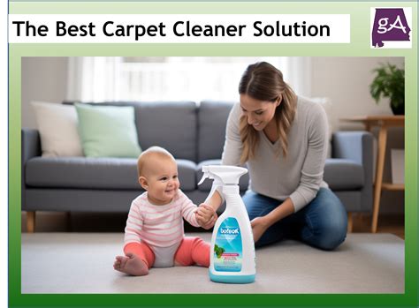 Explore The Best Carpet Cleaner Solution - Geek Alabama