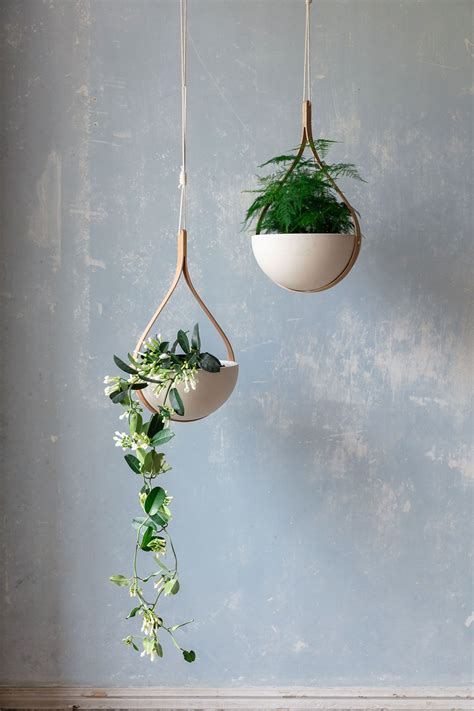 Hanging Plants From Ceiling No Damage at Jillian Sutherland blog