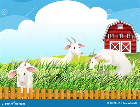 Goats Eating Stock Illustrations – 56 Goats Eating Stock Illustrations ...