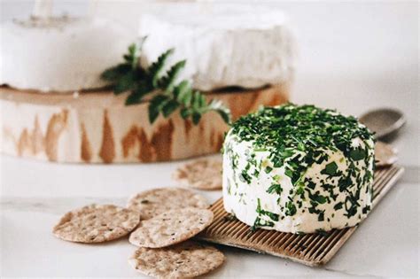 The New Plant-Based Cheese You Should Add to Your Next Cheese Board ...