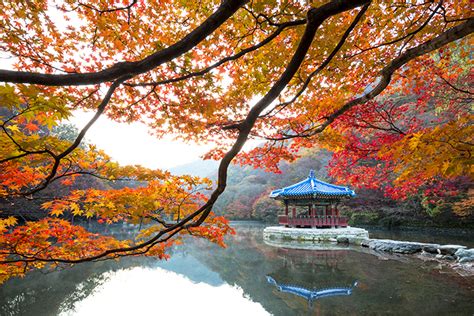 5 Destinasi Terbaik Menikmati Musim Gugur di Korea Selatan : Okezone Travel