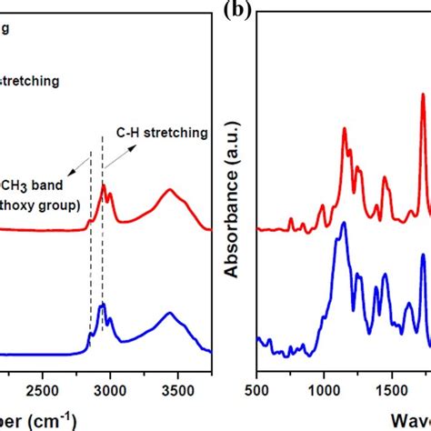 FT-IR spectra of (a) pure PMMA polymer layer (b) DR1 dye-doped PMMA... | Download Scientific Diagram