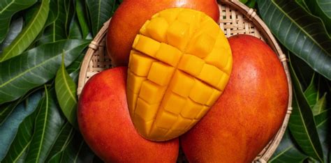 Mango Season Underway in Australia - Orchard Tech