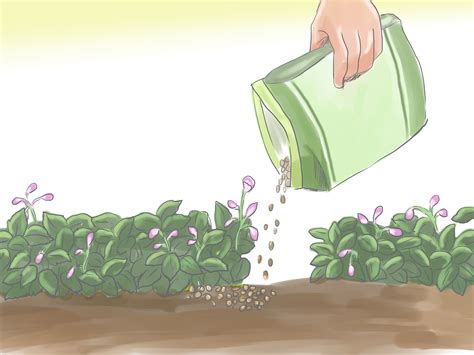 5 Ways to Fertilize Flowers Organically - wikiHow