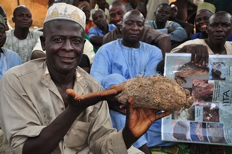 Sustainable Agriculture in Nigeria - The Borgen Project