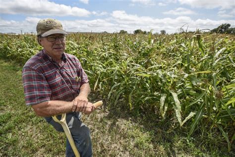 SD's Corn Palace says it learned a lesson as drought nearly ditches mural plans