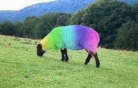 How to make a Rainbow Sheep 1.7.4