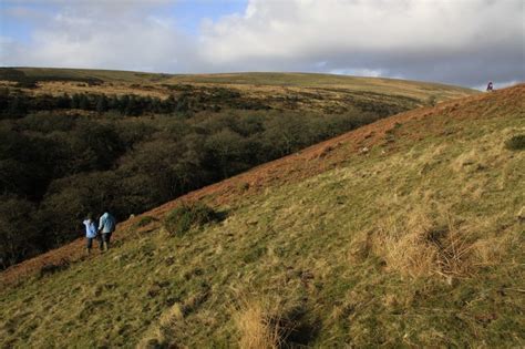 Best Dartmoor Wildlife, Dartmoor, Dartmoor National Park