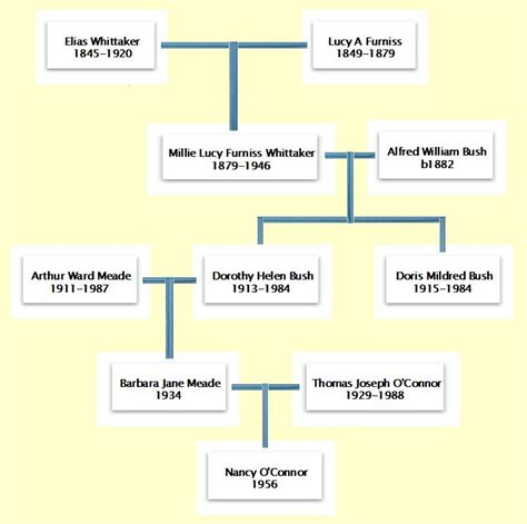 Family History: Whitaker Family Bible