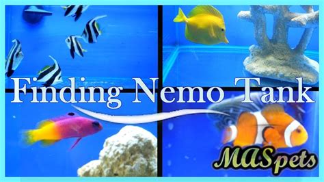 Finding Nemo Fish Tank - Zig Gamma