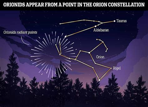 Look up tonight! Orionid Meteor Shower peaks this evening with up to 25 ...