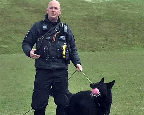 Police dog handlers impress Ivybridge public service students ...