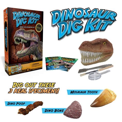 Dinosaur Dig Kit. - Toy Sense