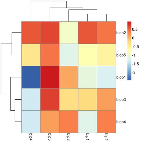 plot - x axis and y axis labels in pheatmap in R - Stack Overflow