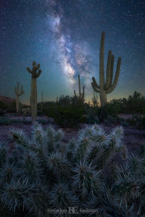 A magical night under the stars at the Sonoran Desert National Monument 🌵 Prints available ...